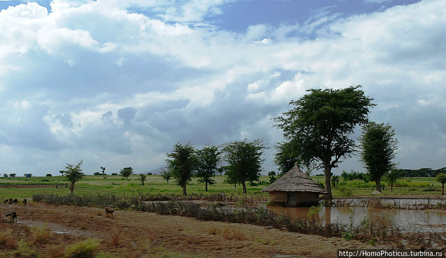 Озеро Абиджата Озеро Абиджата