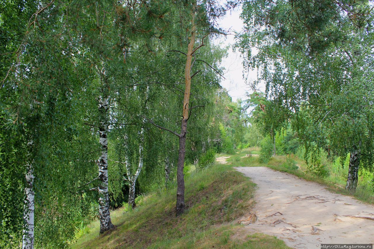 Городец. Знакомство со Слободой. Городец, Россия