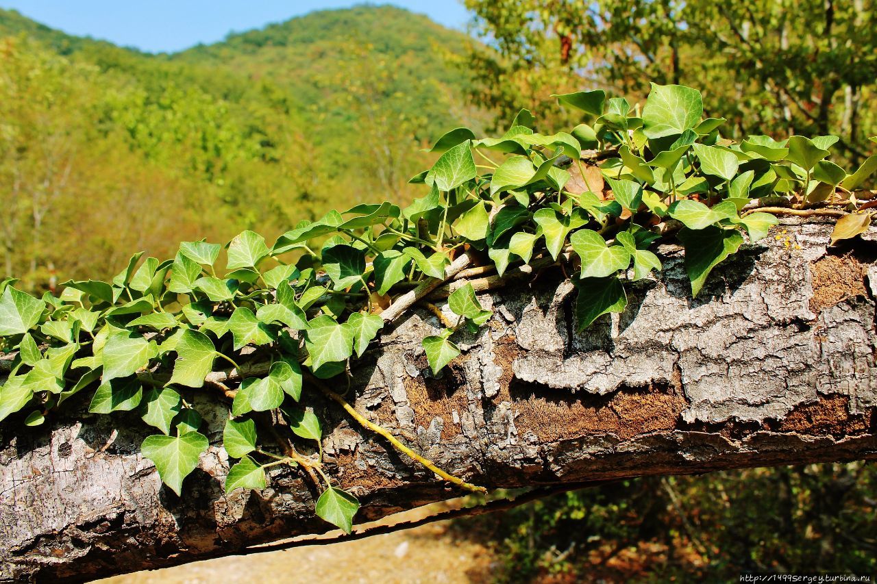 Моё покорение Врмац #5 / Гора Моё покорение Врмац #5 / Гора