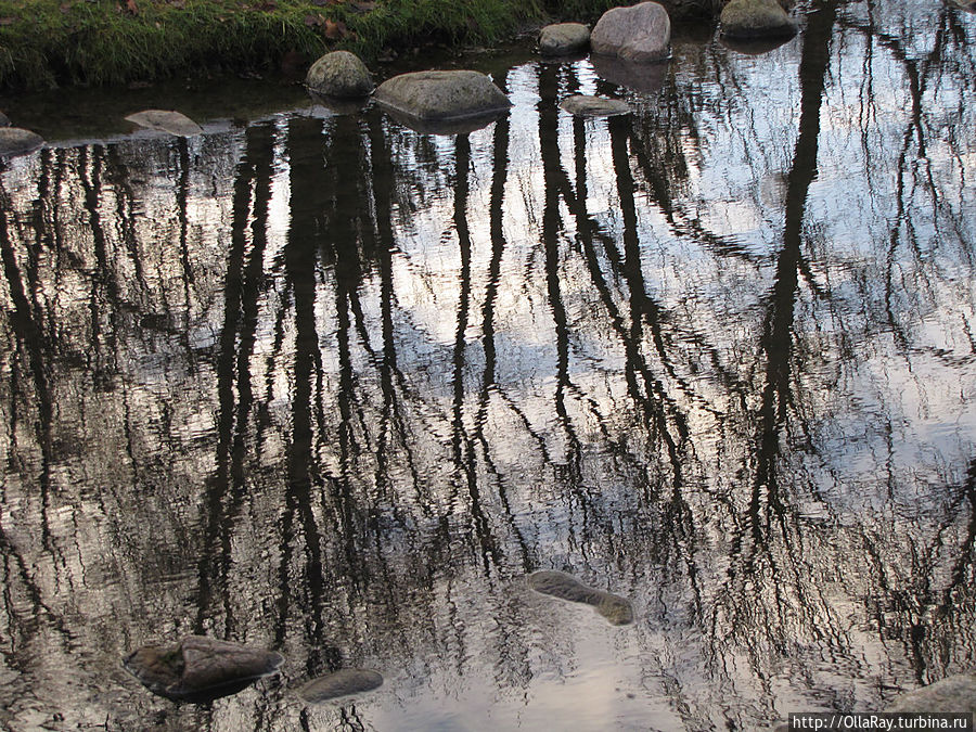 Отражение в зимней воде. Отражение в зимней воде.