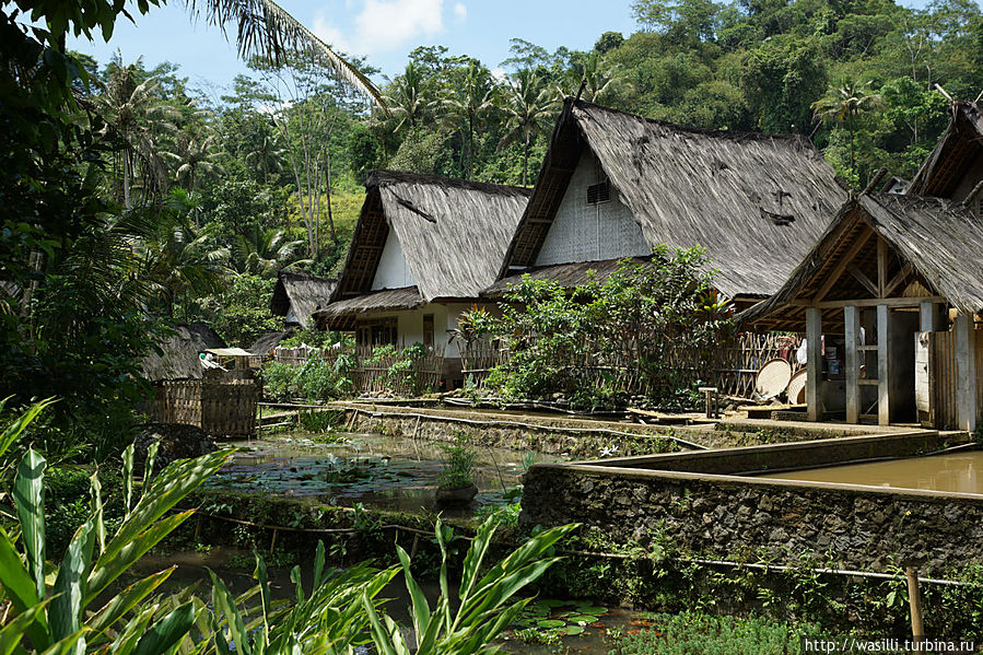 Дома тружеников села. Ява, Индонезия