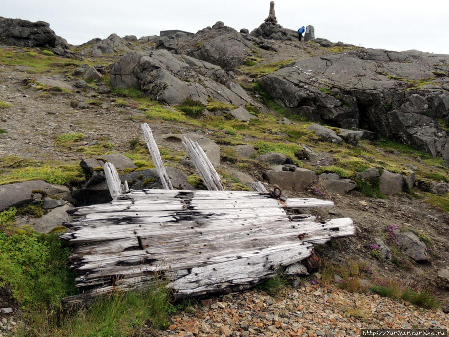 Такое дерево с разбитых штормами кораблей очень ценилось исландцами. Вот так — кому смерть, а кому на этом горе новый дом или мебель. Хёфн, Исландия