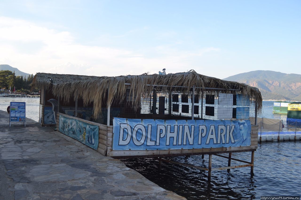 Дельфинариум Мармарис, Турция