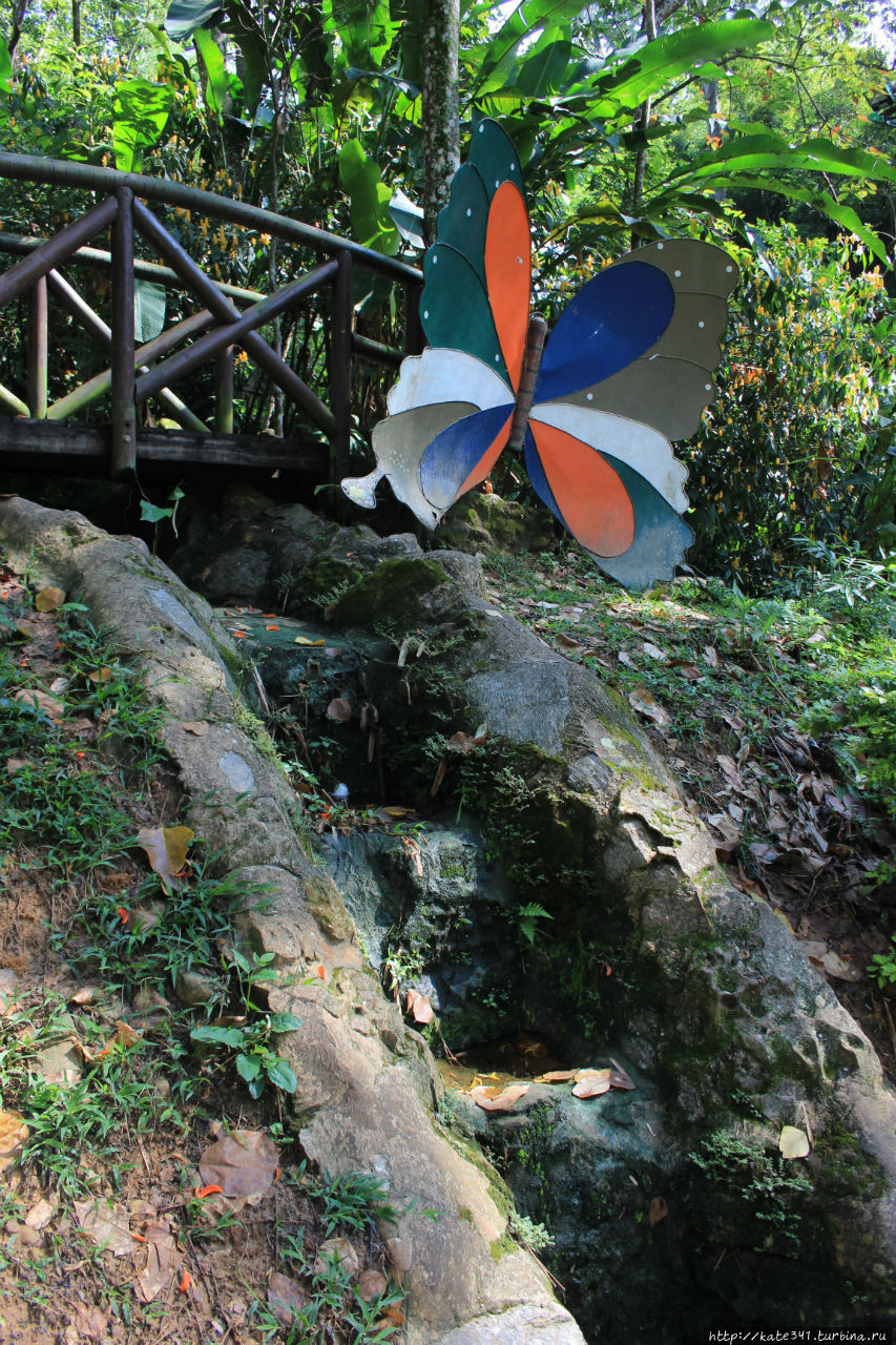 Парк Ла Флора Букараманга, Колумбия