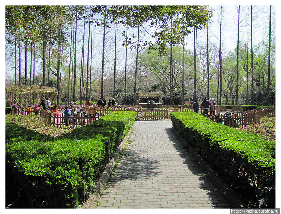 Зоопарк Шанхая Шанхай, Китай Зоопарк Шанхая Шанхай, Китай