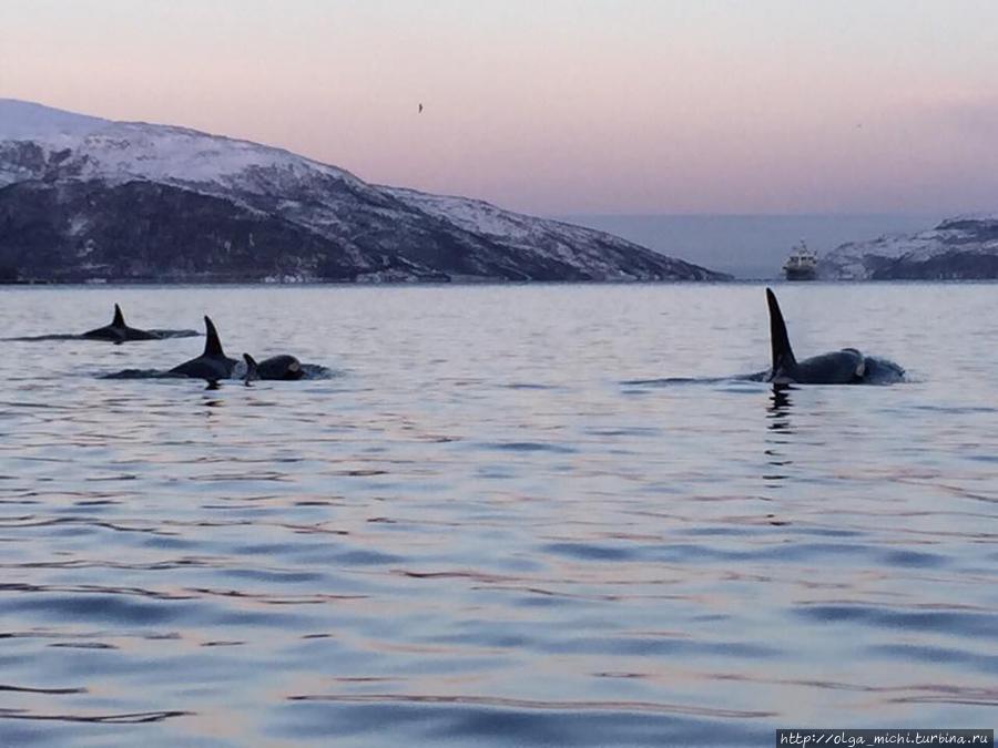 Фотоконкурс Фотоконкурс