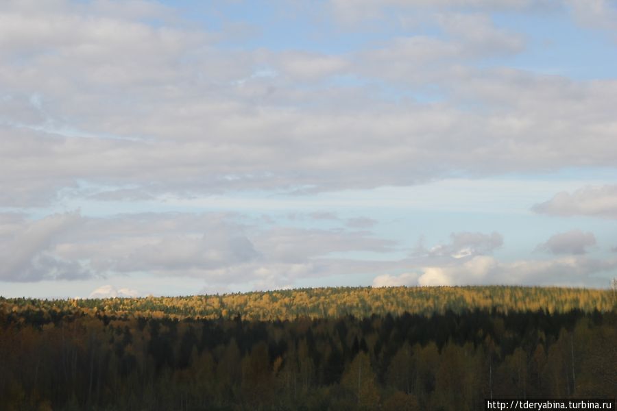 Золото дорог Пермский край, Россия