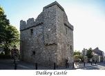 Замок Долки. Южный пригород Дублина. Построен в XV-XVI веках.
