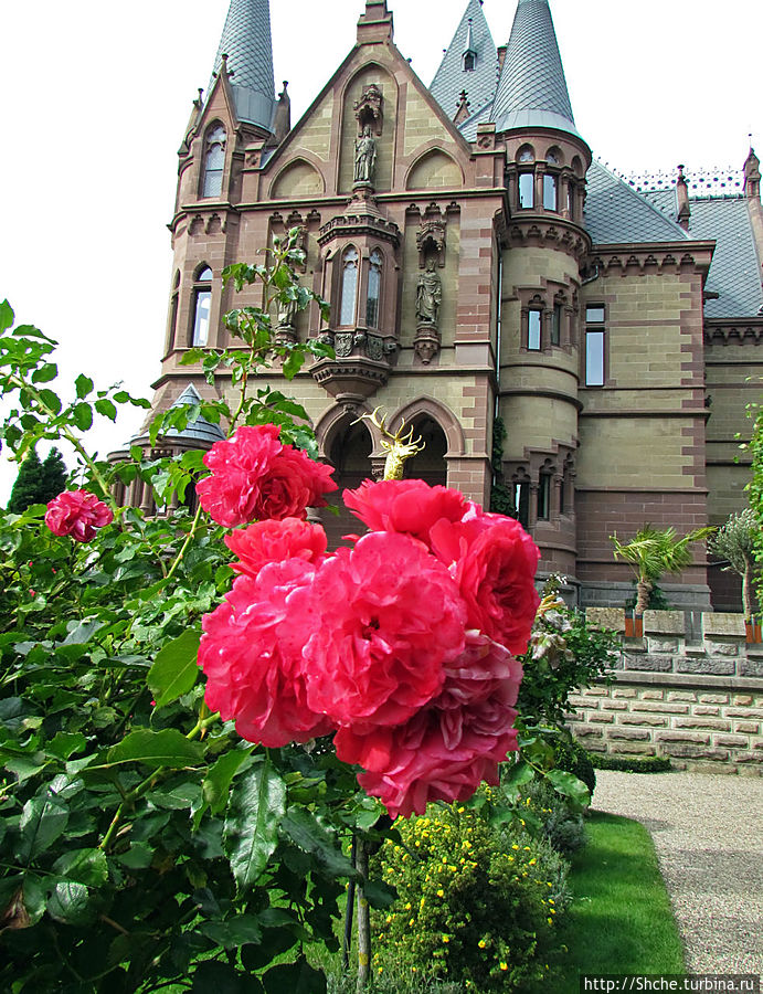 Замково-парковый ансамбль Драхенсбург, прямо из сказки Кёнигсвинтер, Германия