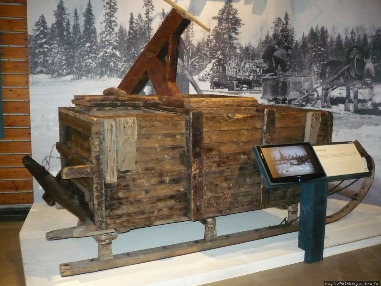 Музей леса Лусто Пункахарью, Финляндия