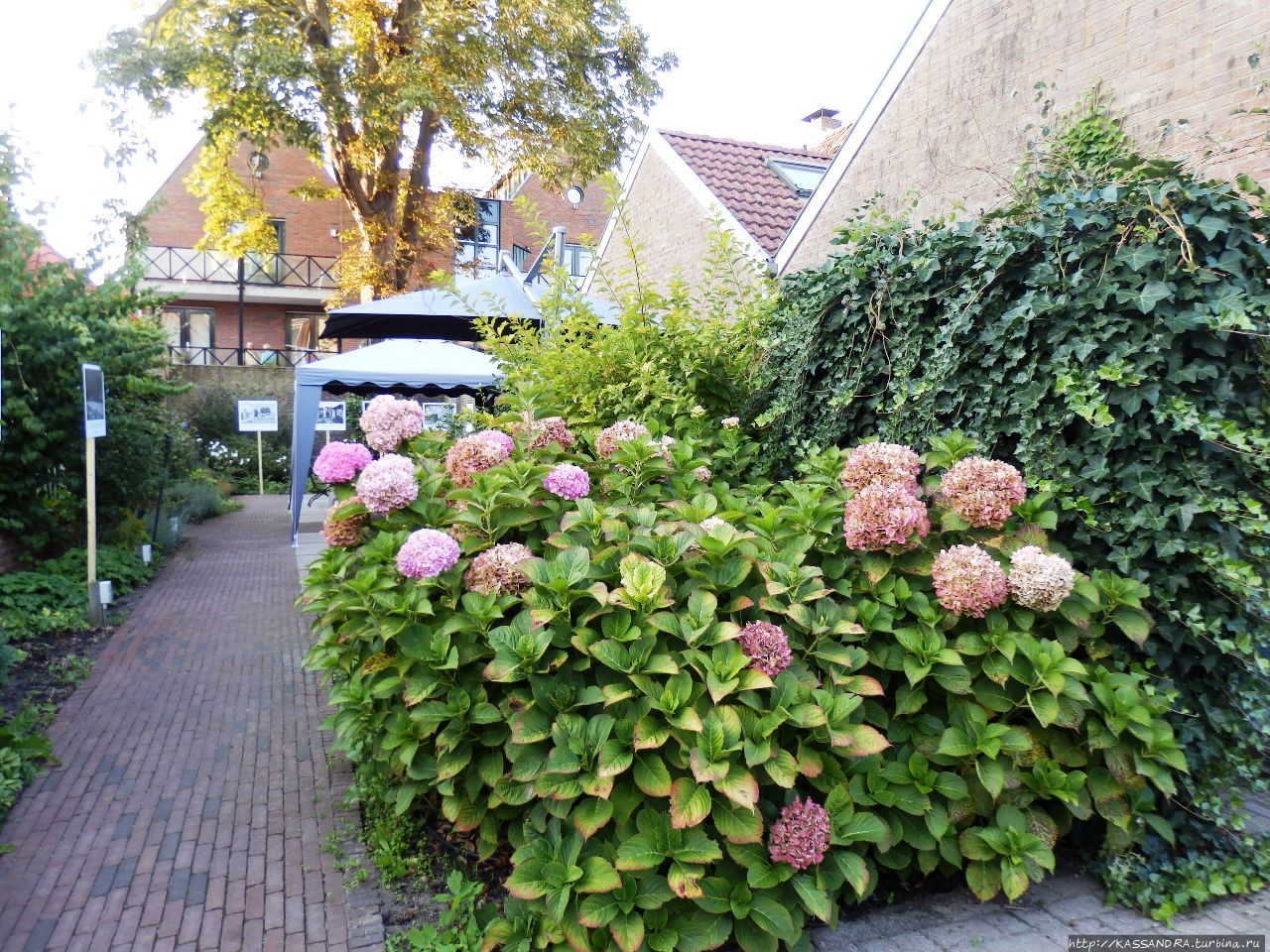Голландский сад и   внутренний дворик в Амерсфорте Амерсфорт, Нидерланды