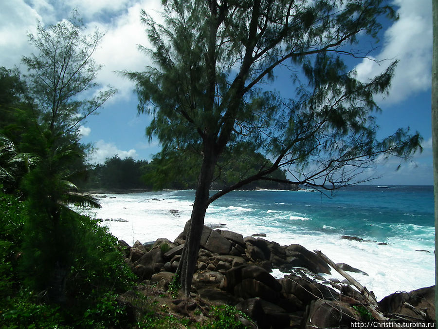 Залив Полис / Police Bay