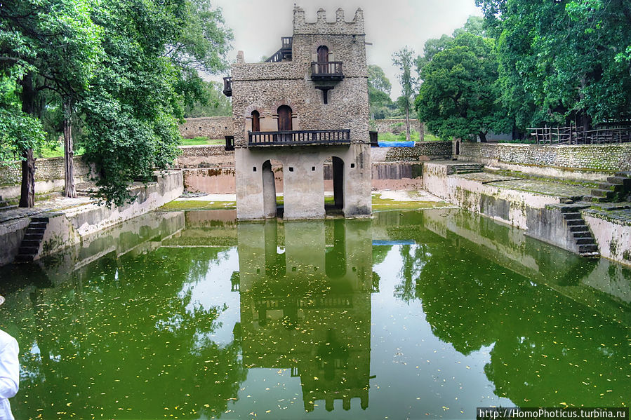 Бассейн Фасилидаса Бассейн Фасилидаса