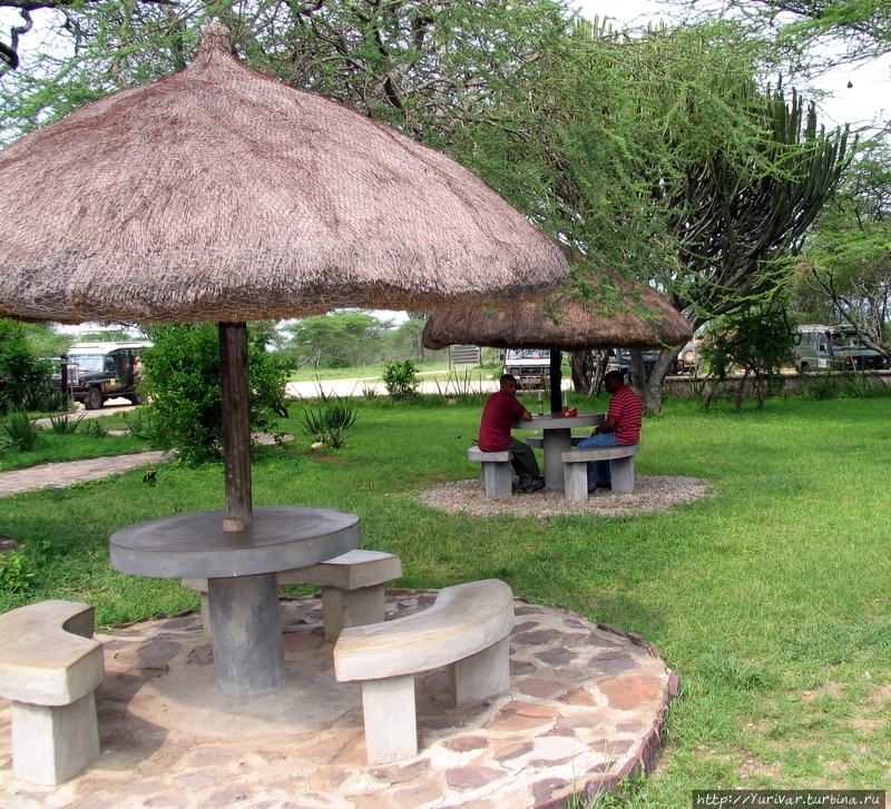 Уголок отдыха в информационном центре Серенгети Серенгети Национальный Парк, Танзания