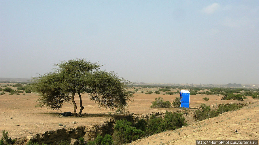 Платный туалет Zula, Эритрея
