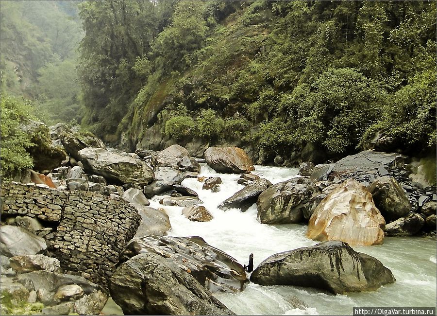 Река Моди-Кхола под горой у селения Джину Чомронг, Непал