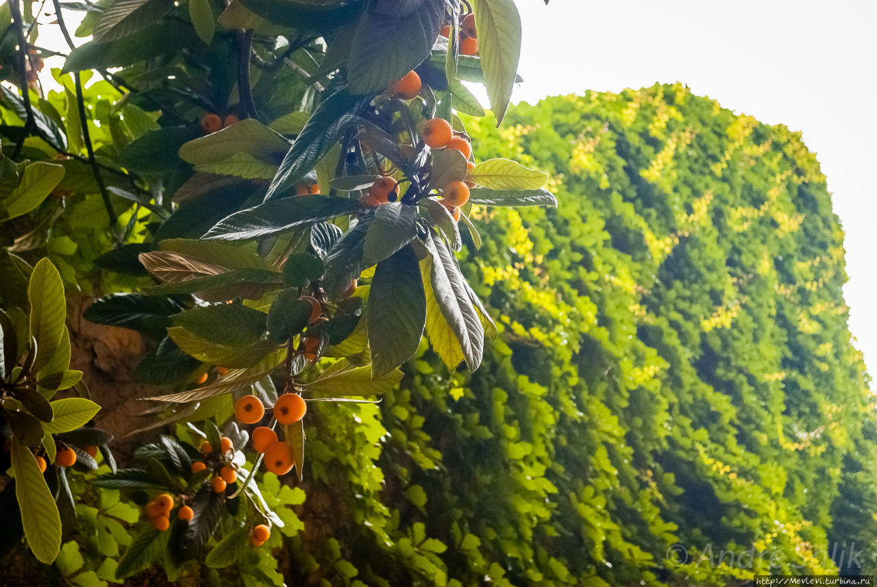 Милан: Триумфальная арка Милан, Италия Милан: Триумфальная арка Милан, Италия