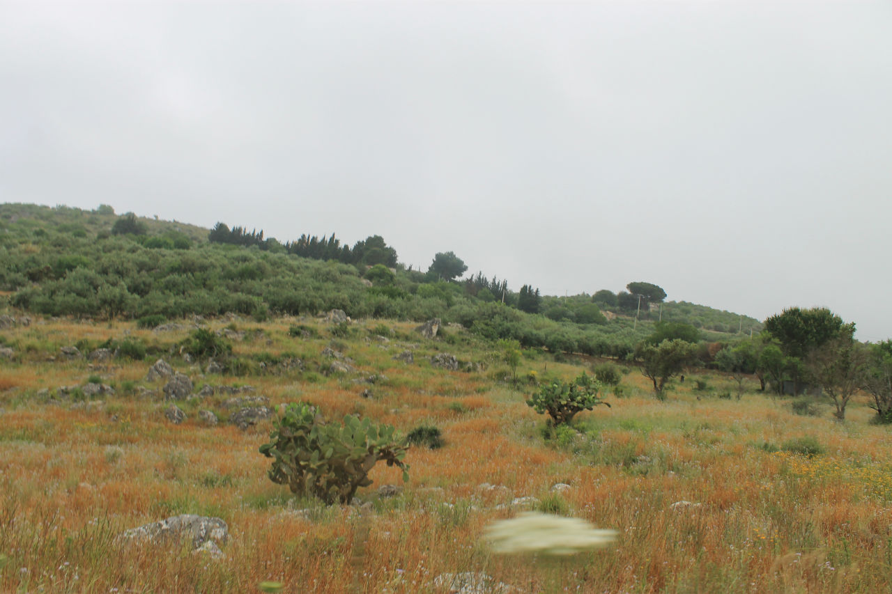 День 3. Монреале, Корлеоне. Заблудились. Сицилия, Италия День 3. Монреале, Корлеоне. Заблудились. Сицилия, Италия