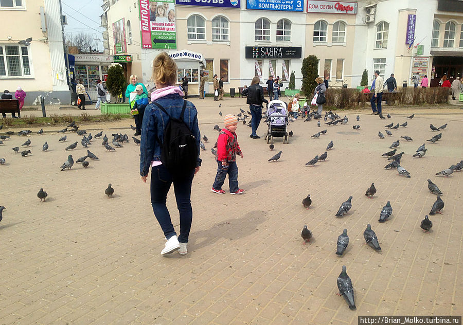 На центральной площади помимо мусора было очень много голубей Дмитров, Россия