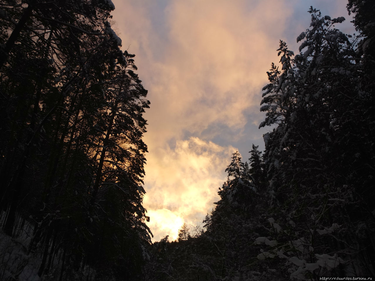 Закат в зимнем лесу Красноярск, Россия Закат в зимнем лесу Красноярск, Россия