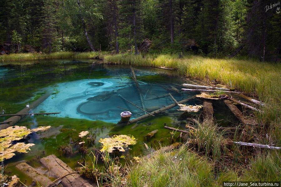 Голубое глиняное озеро Республика Алтай, Россия