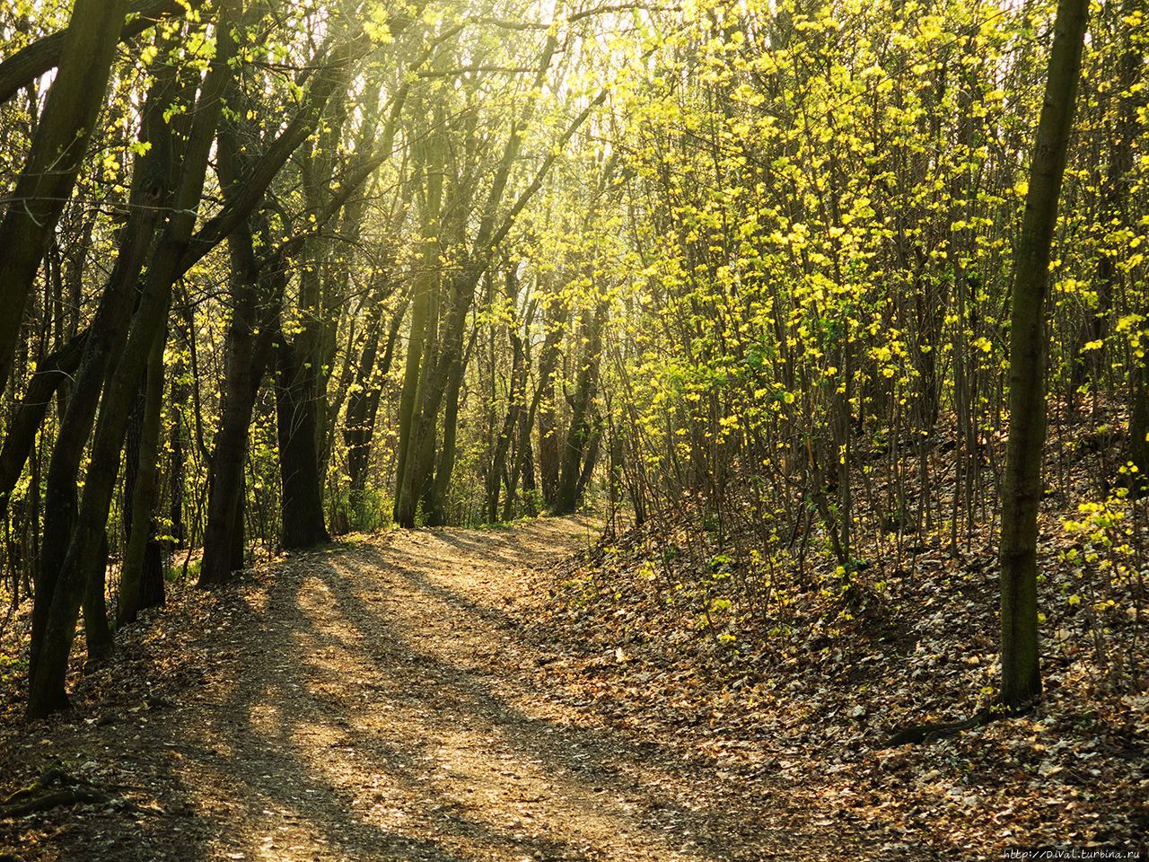 Богемия. Три дня весны (альбом) Теплице, Чехия Богемия. Три дня весны (альбом) Теплице, Чехия