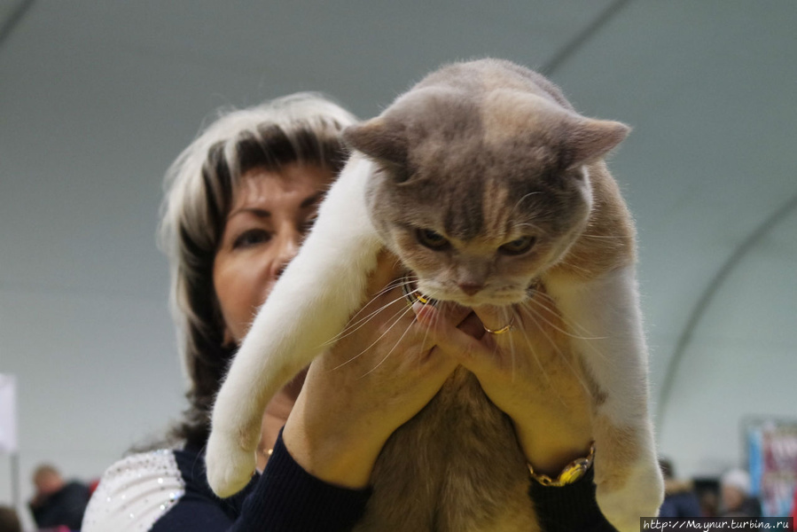 Самые любимые... Южно-Сахалинск, Россия Самые любимые... Южно-Сахалинск, Россия