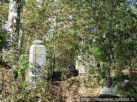 История одной семьи Бронницы, Россия История одной семьи Бронницы, Россия