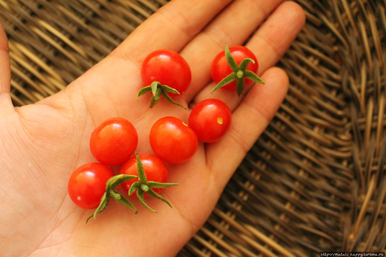 Не было печали... Не было печали...