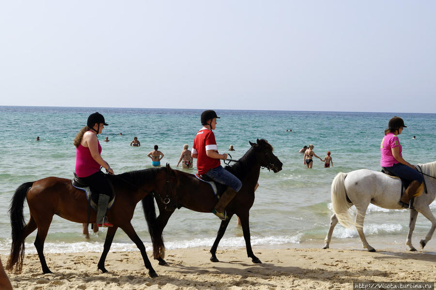 Прогулки вдоль пляжа Хаммамет, Тунис
