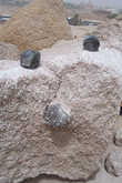 Асуанская каменоломня