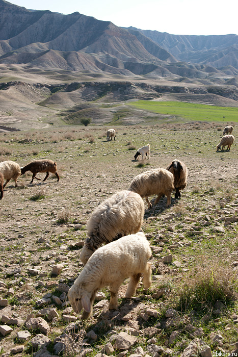 Южные перевалы в горной цепи Загрос Провинция Фарс, Иран