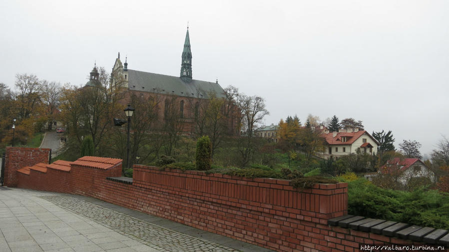 Базилика кафедральная ( строительство начато в середине 14 века, последняя перестройка в 17 веке) Сандомир, Польша