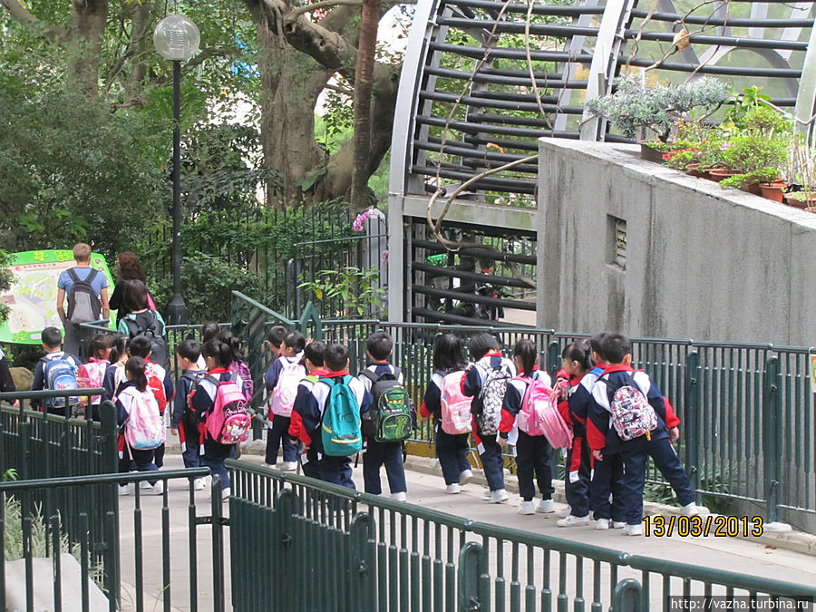 Целые классы приходят на экскурсию в парк Гонконг