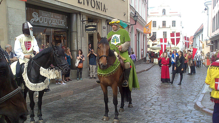 конь на Ж5 Таллин, Эстония