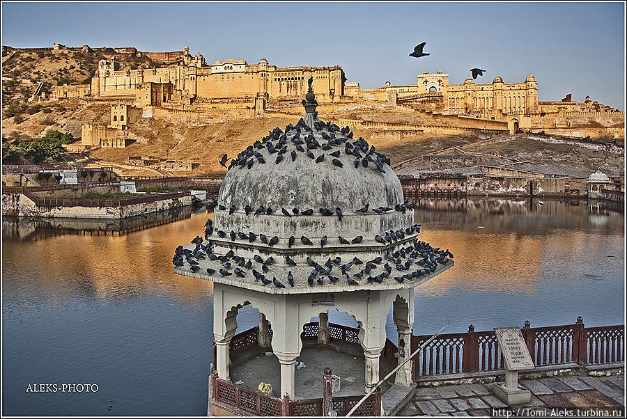 Магия Янтарного Форта (Индийские Приключения ч32) Джайпур, Индия