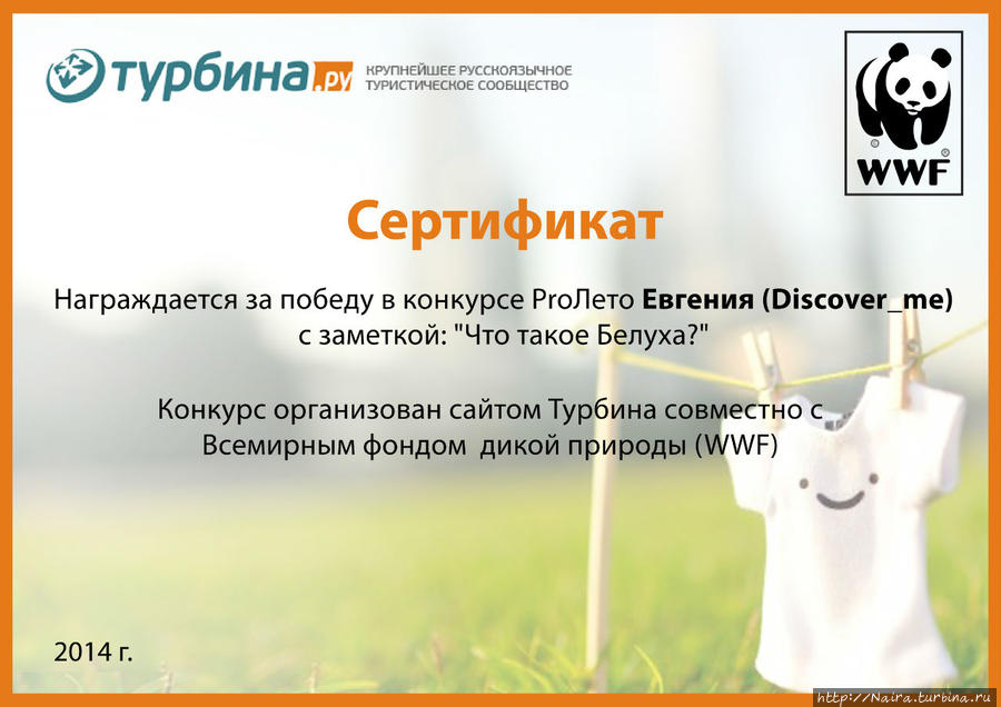 Итоги конкурса ProЛето Итоги конкурса ProЛето