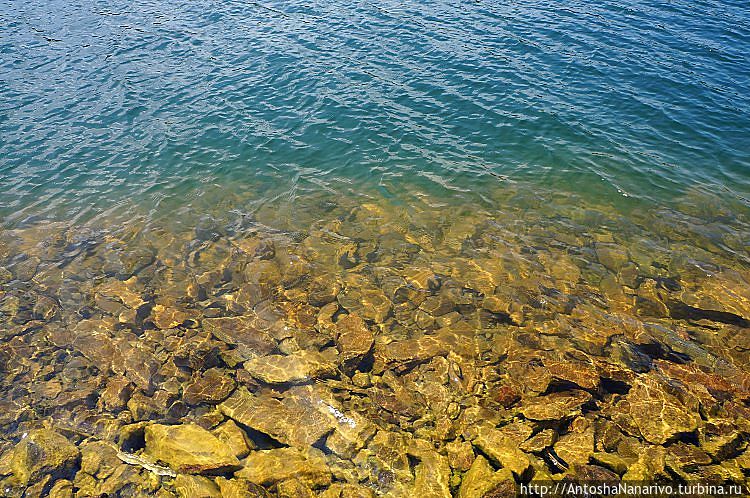 Вода чистая Вода чистая