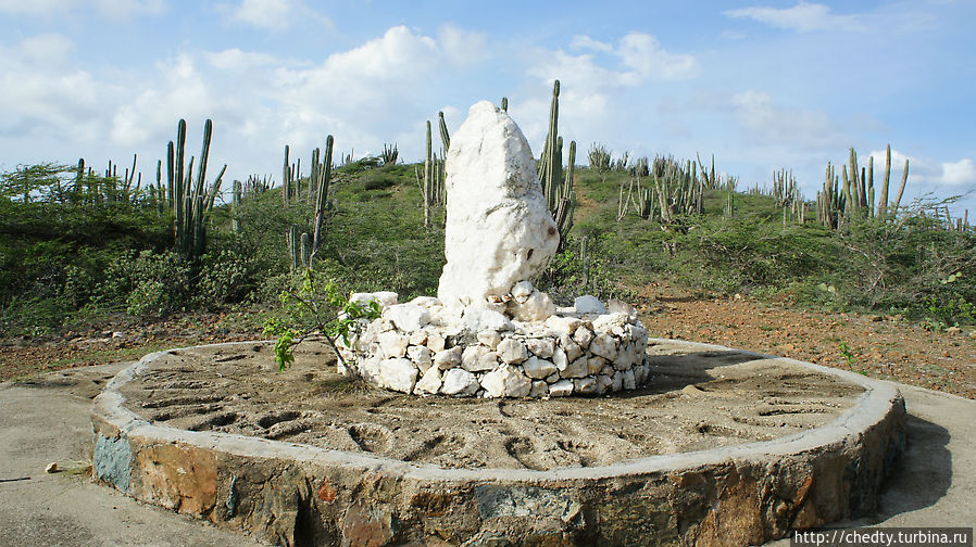 Остров высокой культуры быта (Утро в кактусовом бору) Аруба