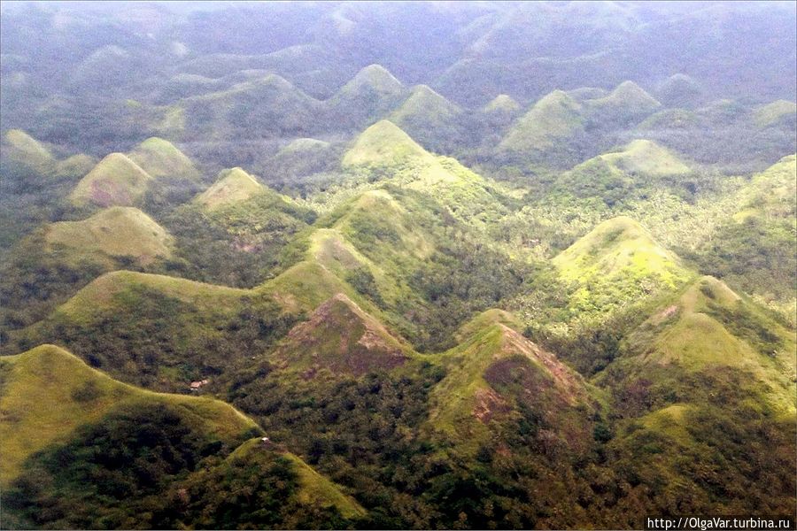 Холмы на десерт Остров Бохол, Филиппины