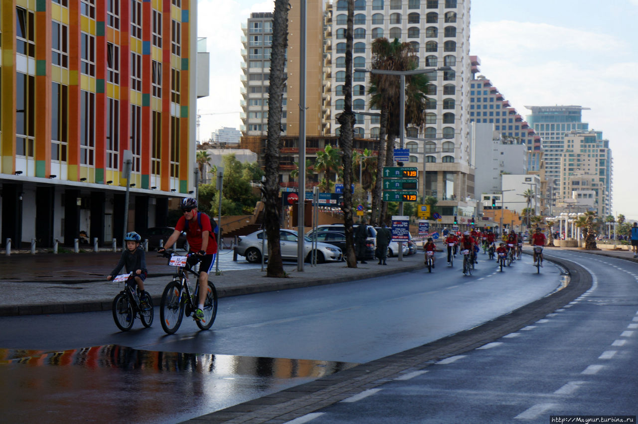 Велогонки  на  набережной. Тель-Авив, Израиль
