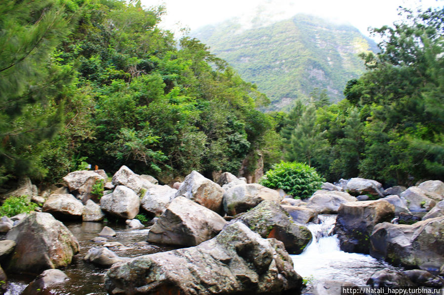 Логово без чудовищ Реюньон Логово без чудовищ Реюньон