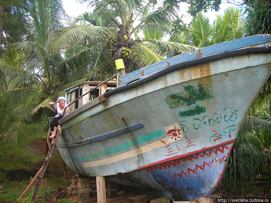 Сирипала, битель и  мангровые заросли Тангалла, Шри-Ланка