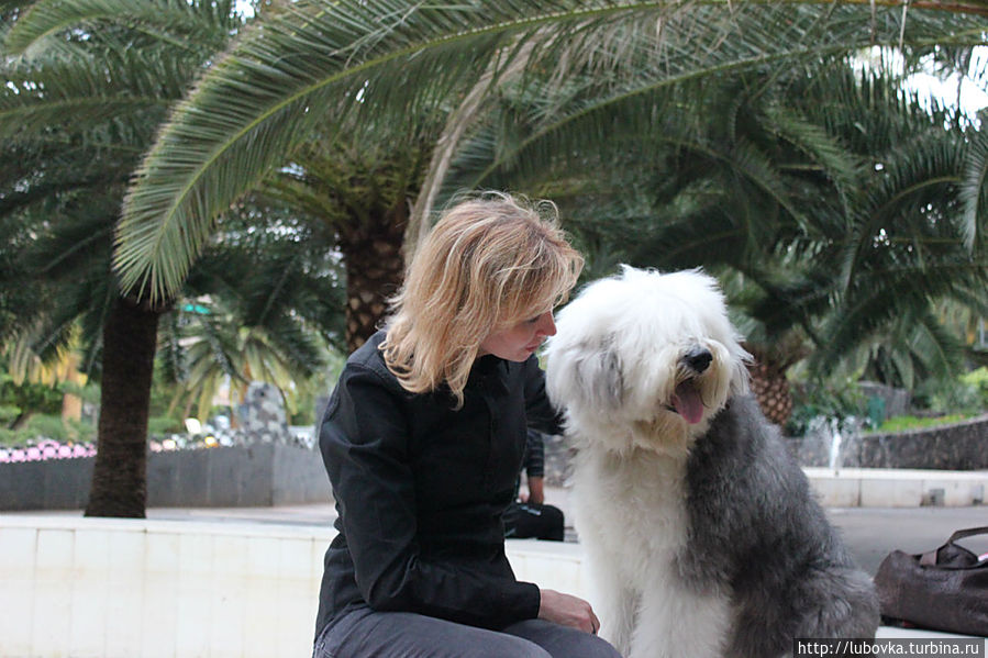 Нежность в Парке Гарсия Санабрия. Нежность в Парке Гарсия Санабрия.