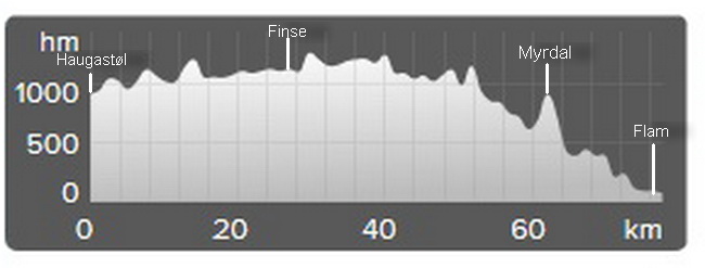 Рельеф веломаршрута. На самом деле он стартует от Haugastol, но на участке Haugastol — Finse идет сплошной мутный подъем и проходят его в основном истинные тру-байкеры. Финсе, Норвегия