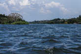 Вид из озера на один из рукавов Нила