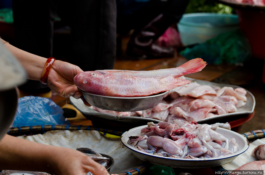 г. Нячанг. Уличная торговля
Фото из интернета Нячанг, Вьетнам