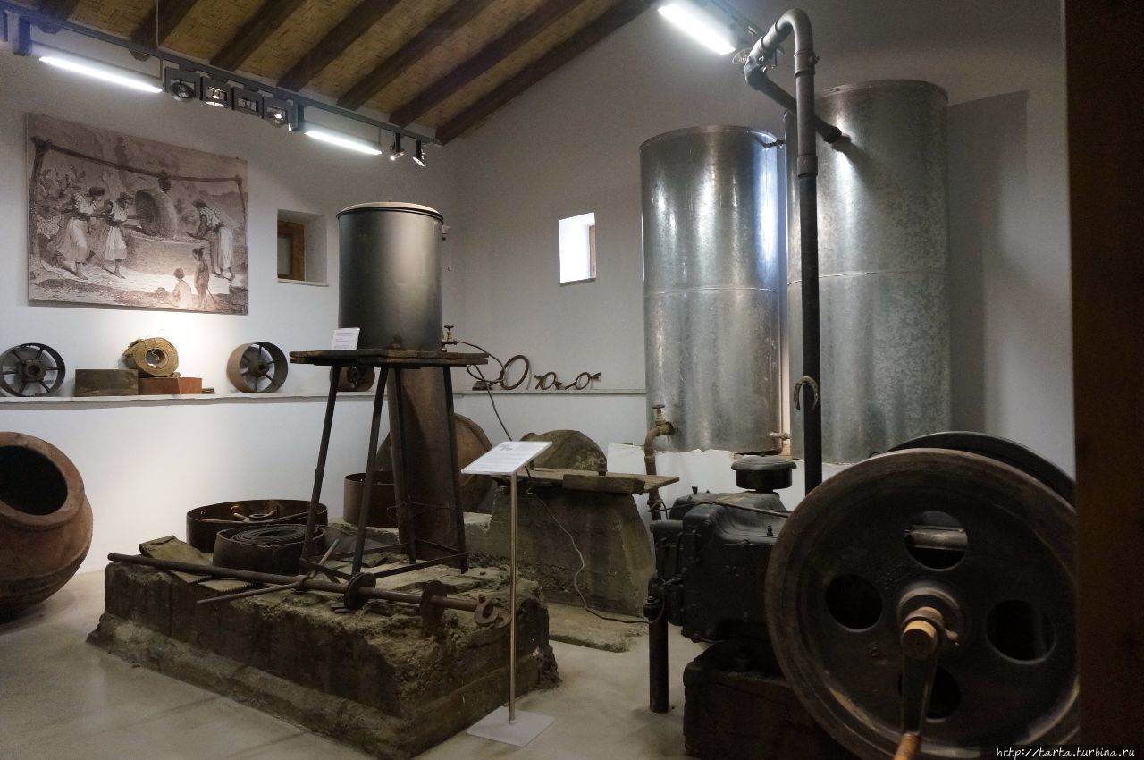 Музей оливок / Olive, Olive oil museum