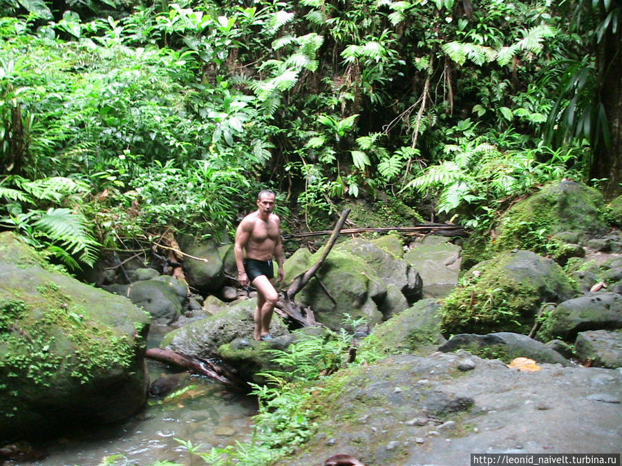 Доминика. Пароним Доминиканы Доминика Доминика. Пароним Доминиканы Доминика