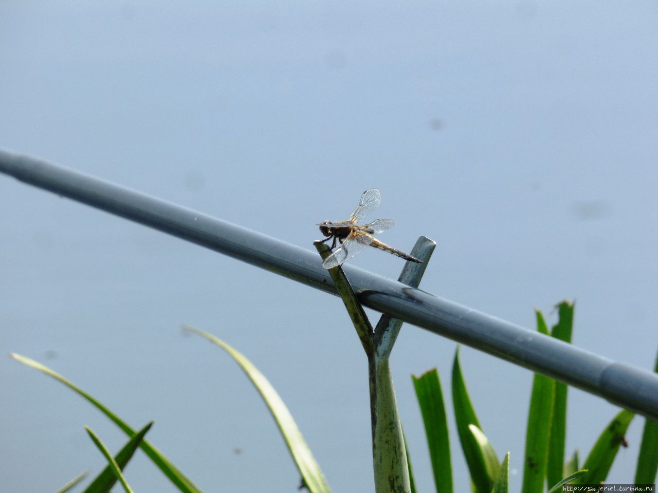 Рыбалка с детьми Чемодурово, Россия Рыбалка с детьми Чемодурово, Россия